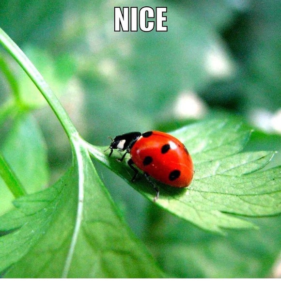 Meet the Posher Other - Meet your Posher, Jackie